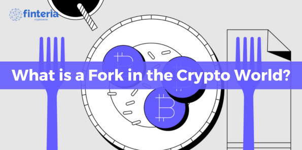 What is a Fork in the Crypto World?